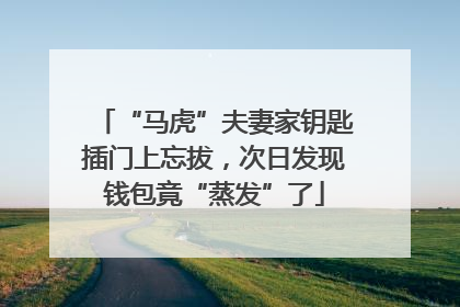 “马虎”夫妻家钥匙插门上忘拔，次日发现钱包竟“蒸发”了